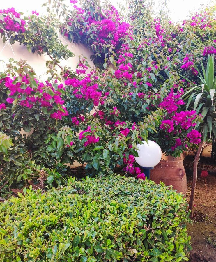 Villa Aphrodite コリンバリ エクステリア 写真